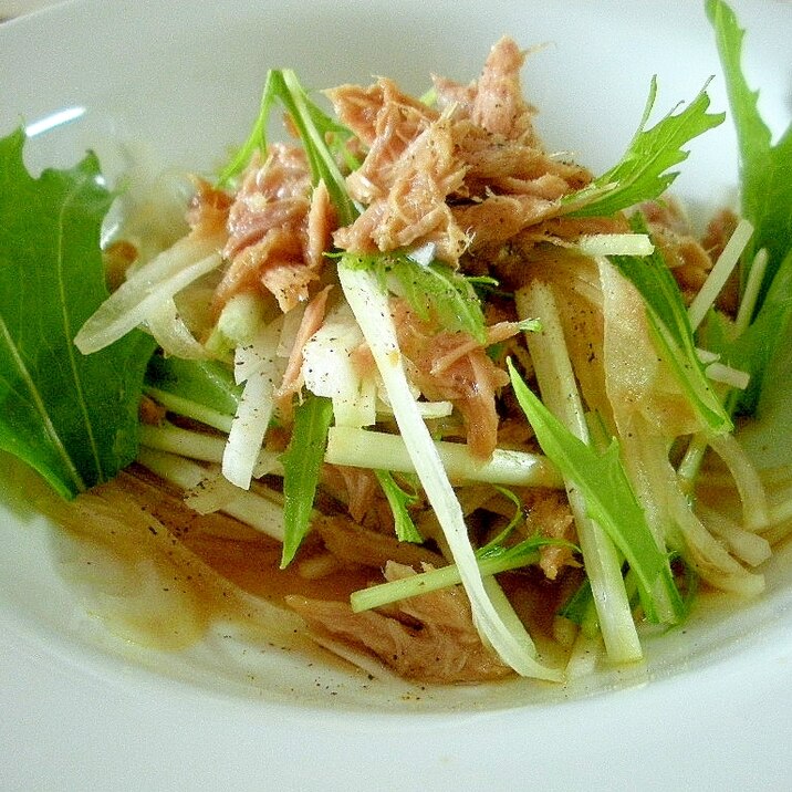 さっぱりおいしい！大根と水菜のツナサラダ